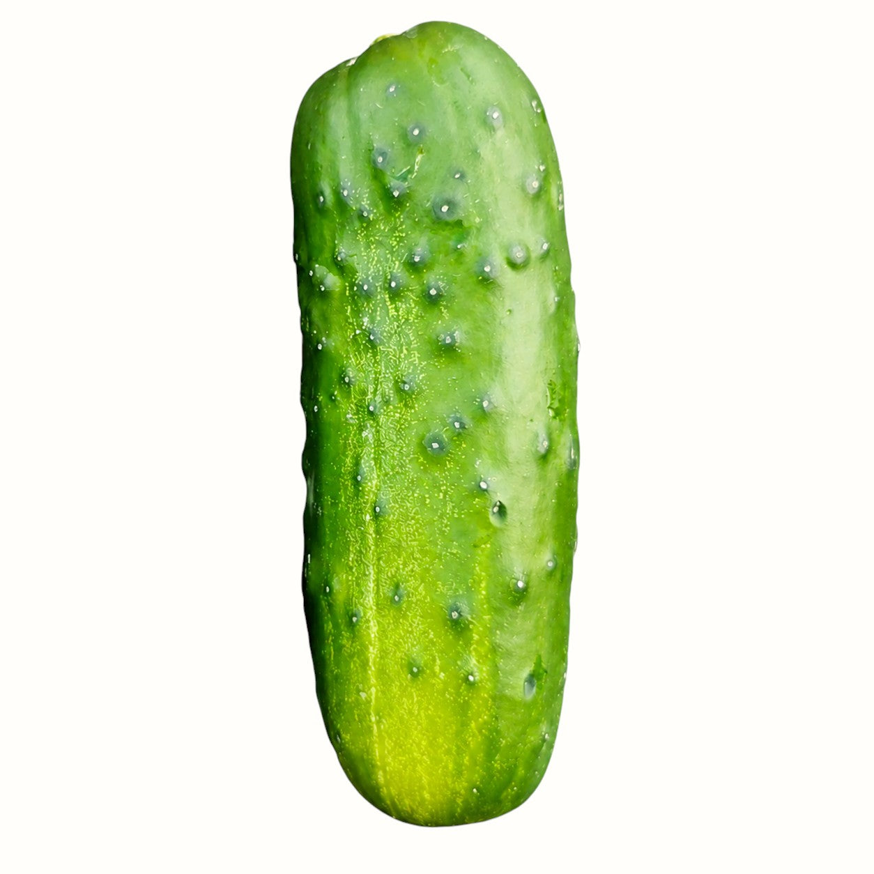 liuzza family farms / pickling cucumbers 1lb