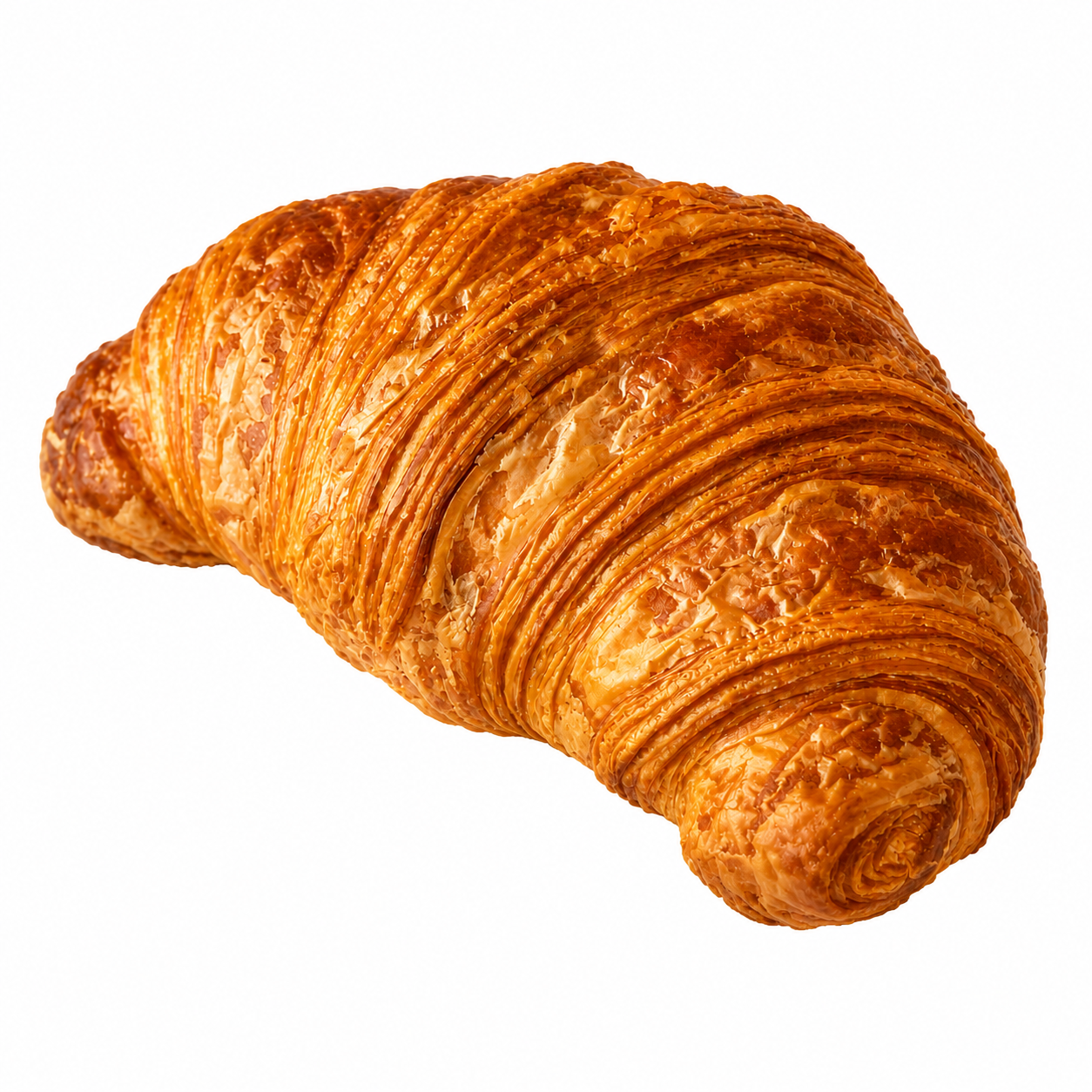Gracious Bakery / Plain Croissant