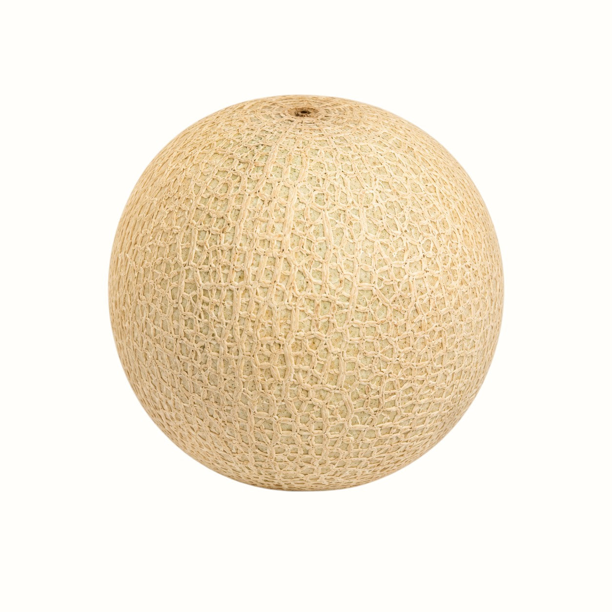 liuzza family farm / local cantaloupe
