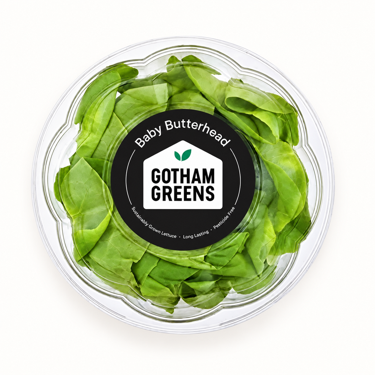 gotham greens / hydroponic baby butterhead lettuce (ny)