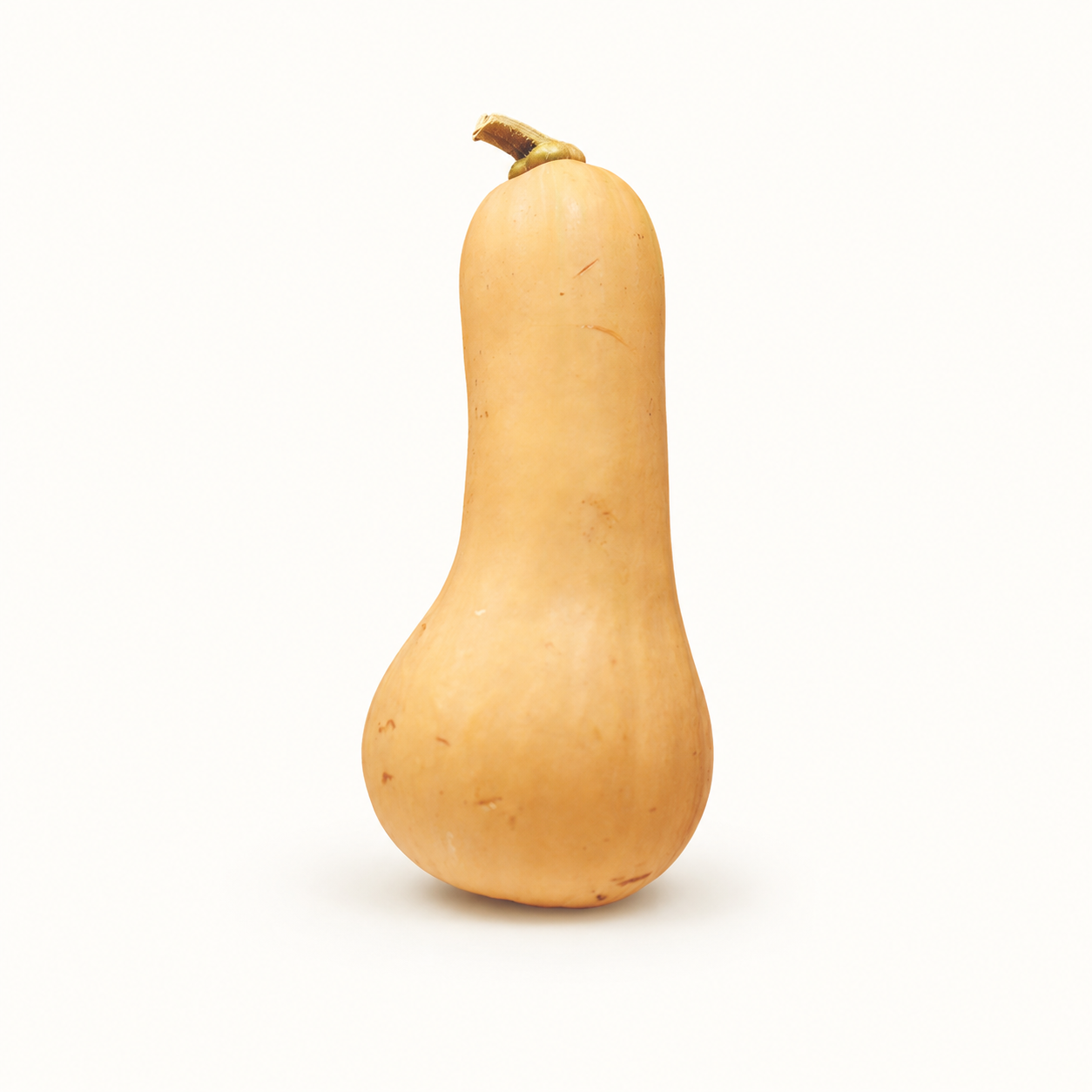 fekete farms / butternut squash 1lb