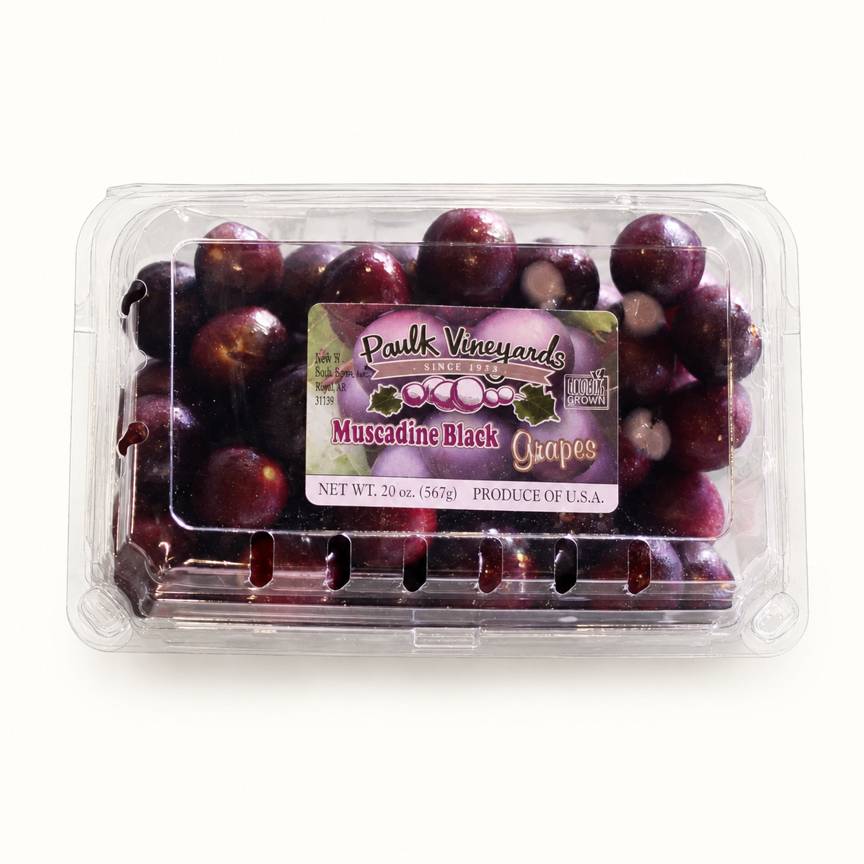 paulk vineyards / purple muscadine grapes 1lb (ga)