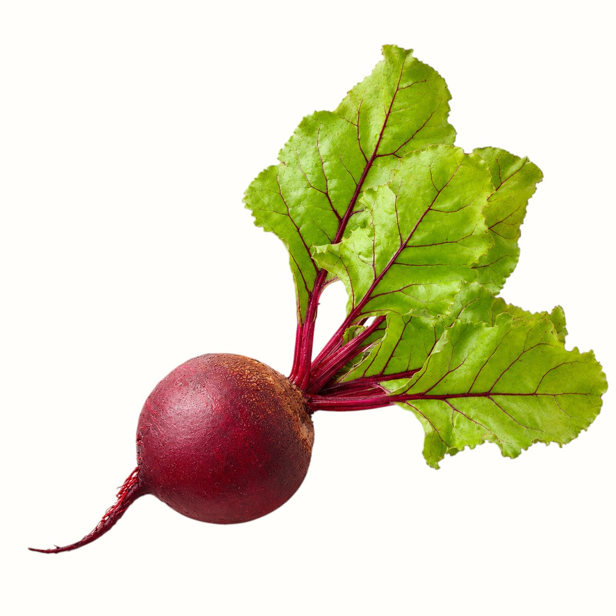 two dog farms / red beets 1lb (ms)
