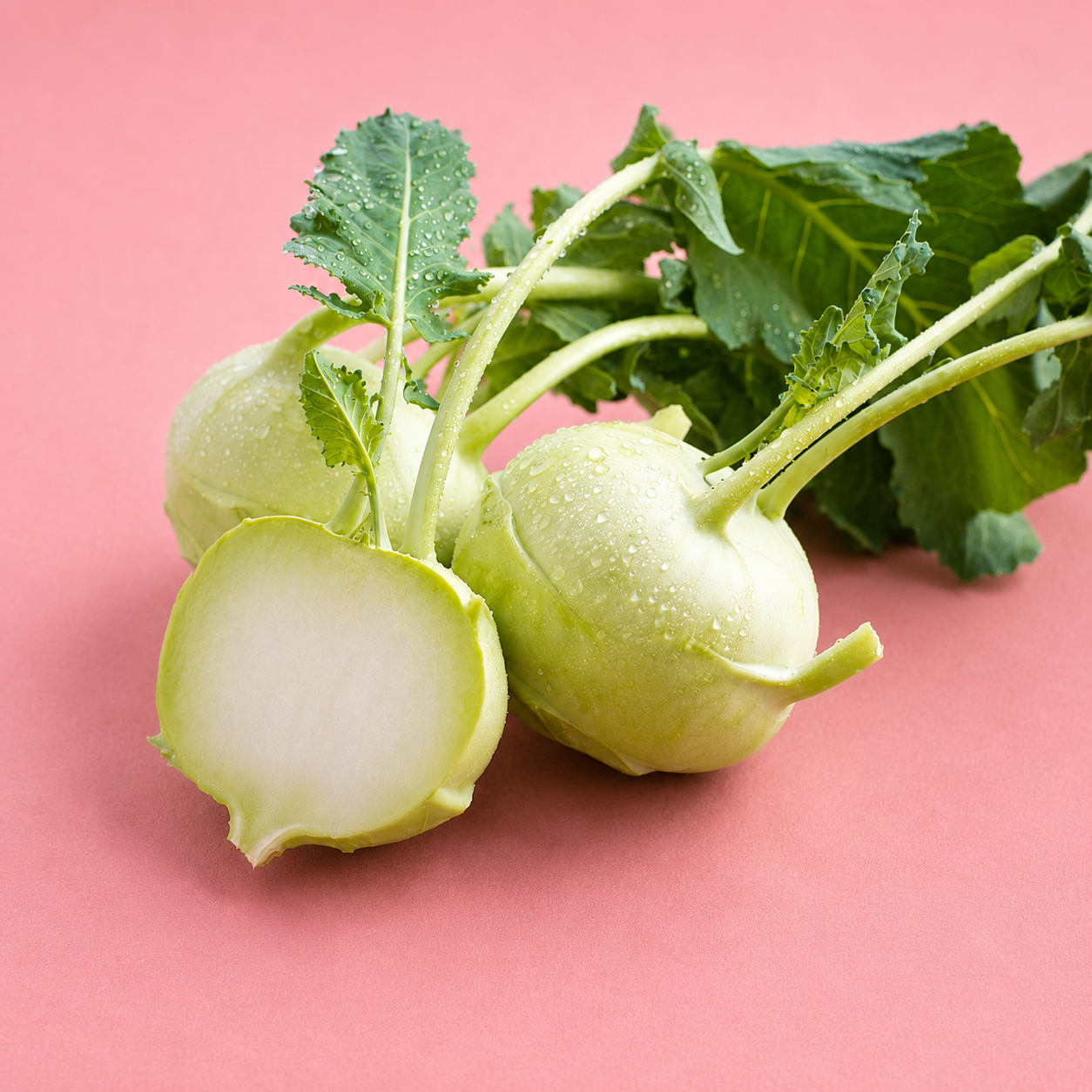 two dogs farm / kohlrabi 1lb (ms)
