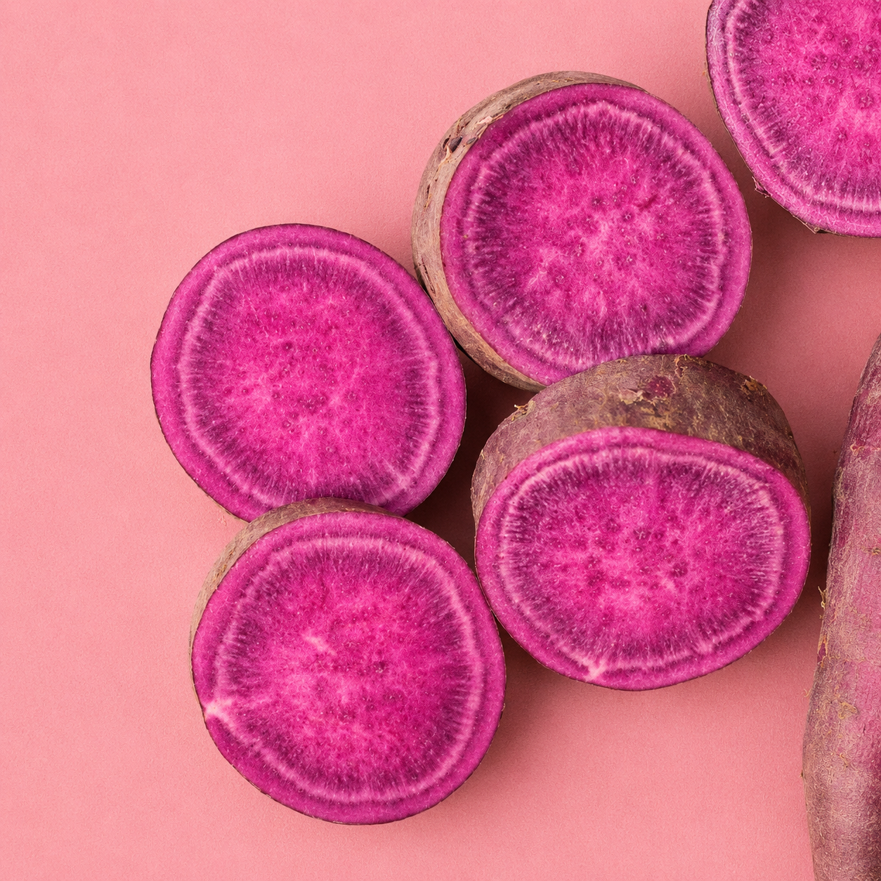 two dogs farm / purple sweet potato 1lb (ms)