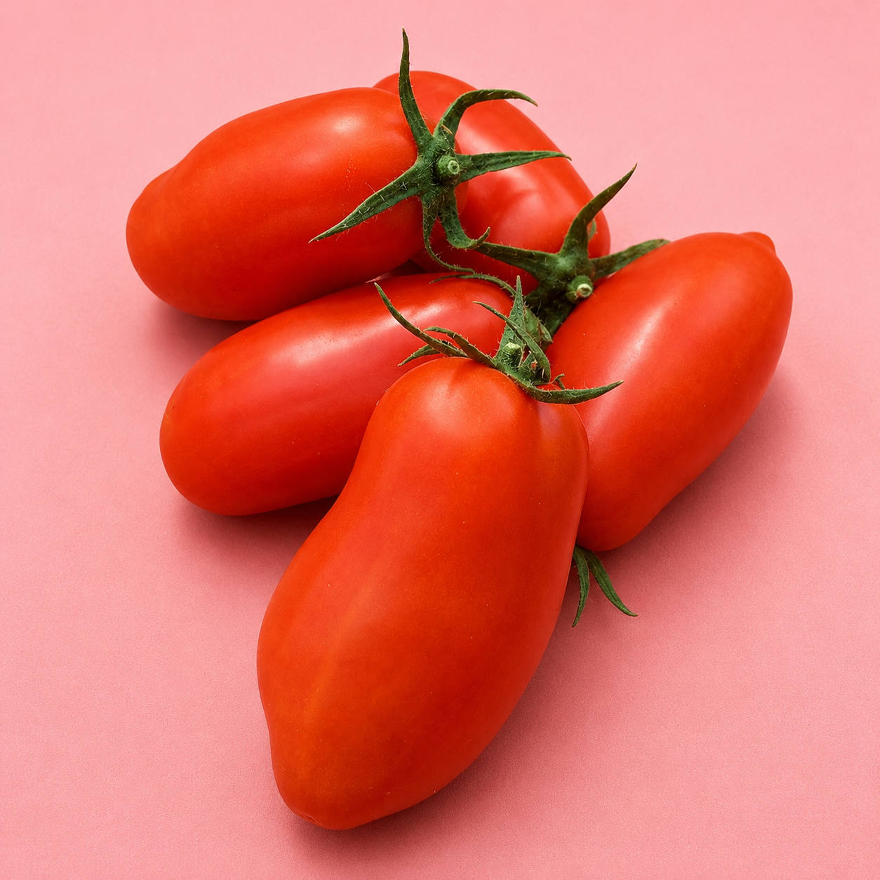 two dogs farm / san marzano tomatoes 1lb (ms)