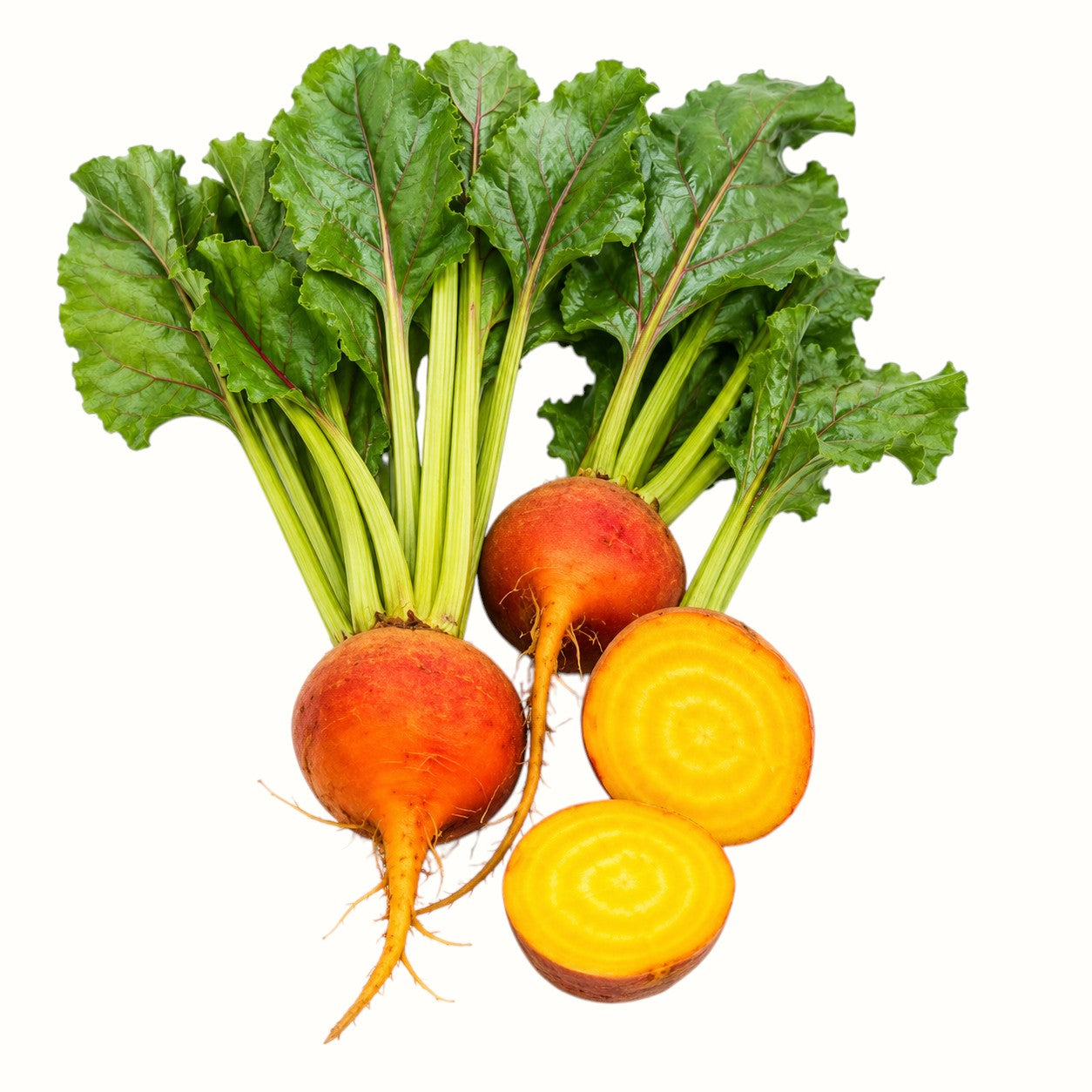 two dog farms / local golden beets 1lb