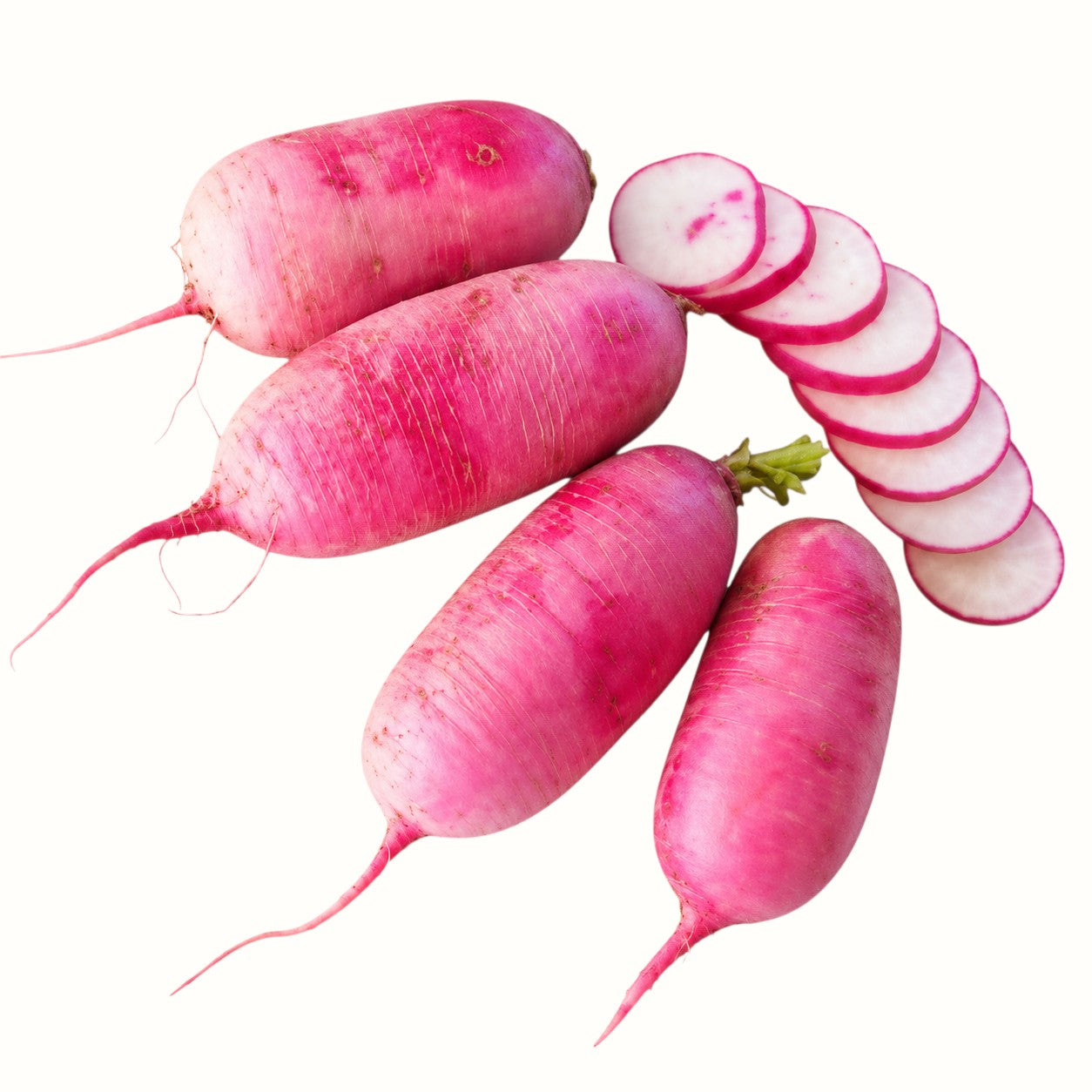 two dog farms / local red daikon radish 1lb