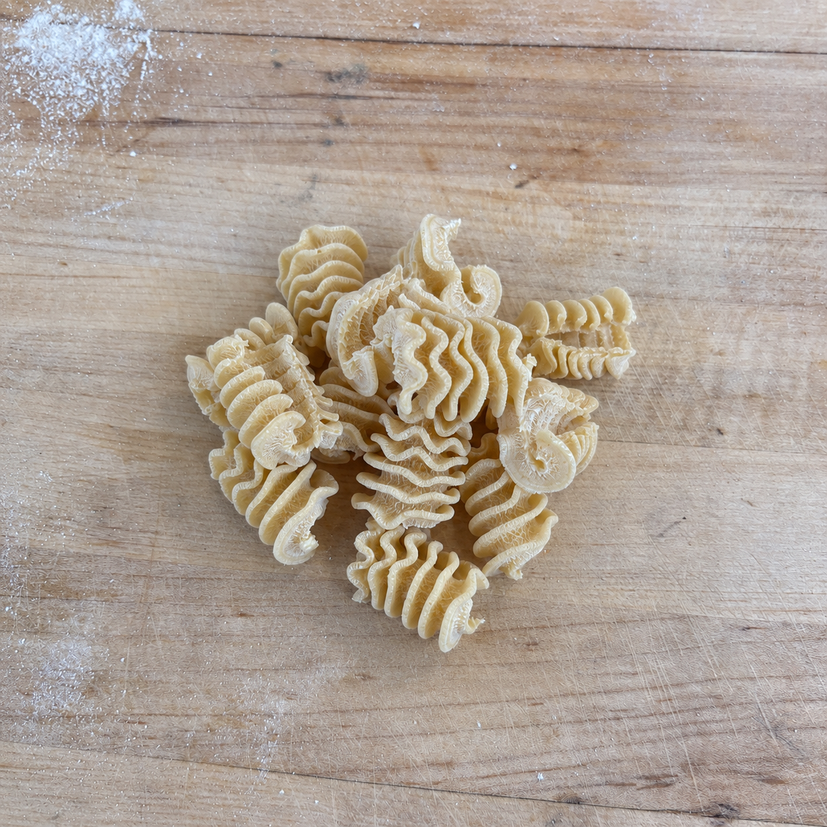 costantini pasta / fresh short cut pasta 16oz