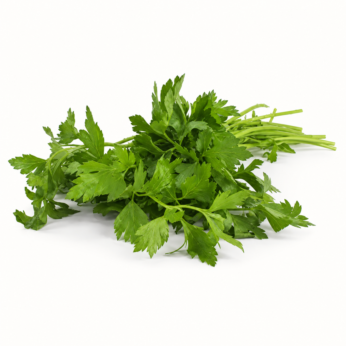 organic italian parsley, 1 bunch