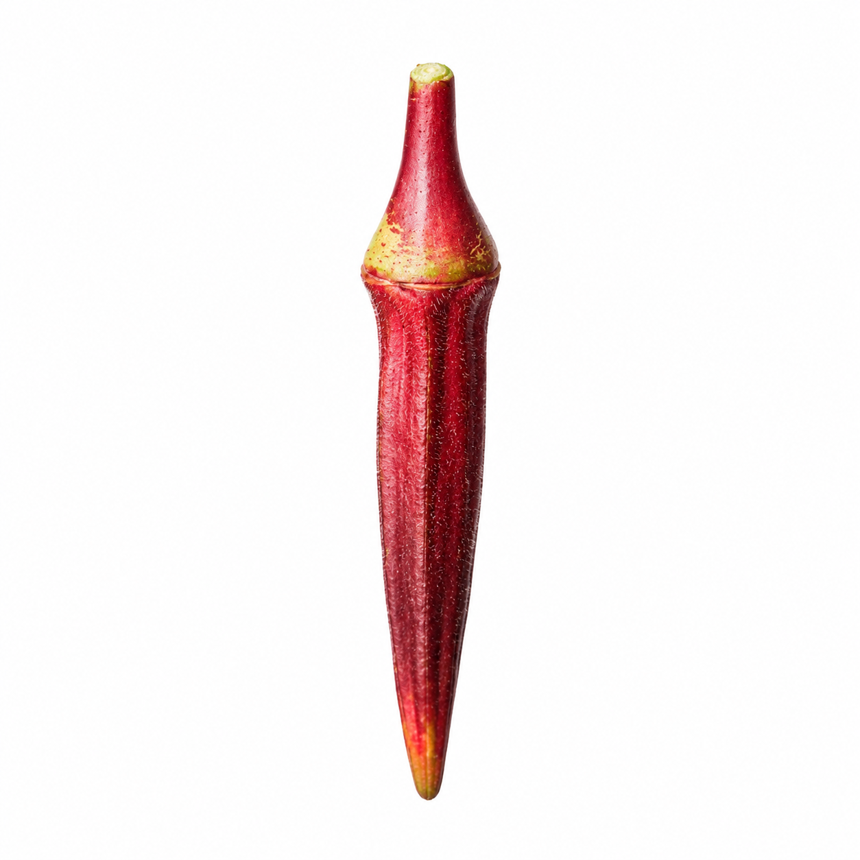 Liuzza Family Farms / Red Okra 1lb