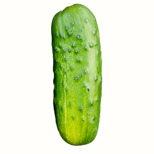 Liuzza Family Farms / Pickling Cucumbers 1lb