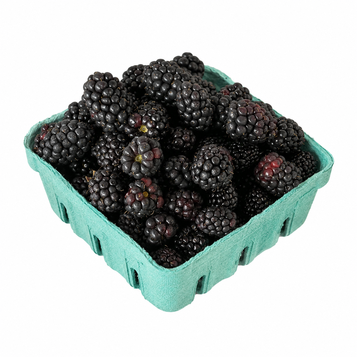 Becnel Farm / Blackberry Pint