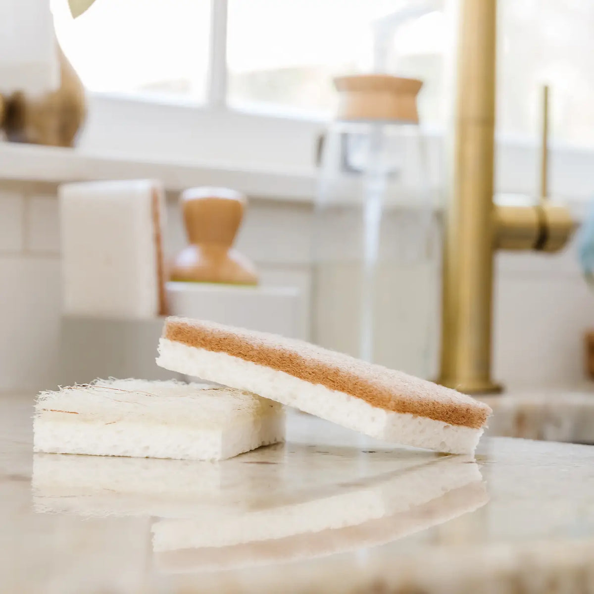 full circle home / natural scrubber sponge 6pk (ny)