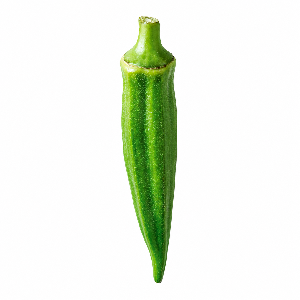 Liuzza Family Farms / Green Okra 1lb