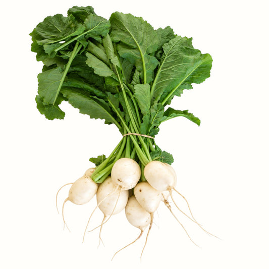 two dog farm / lg local hakurei turnips 1lb