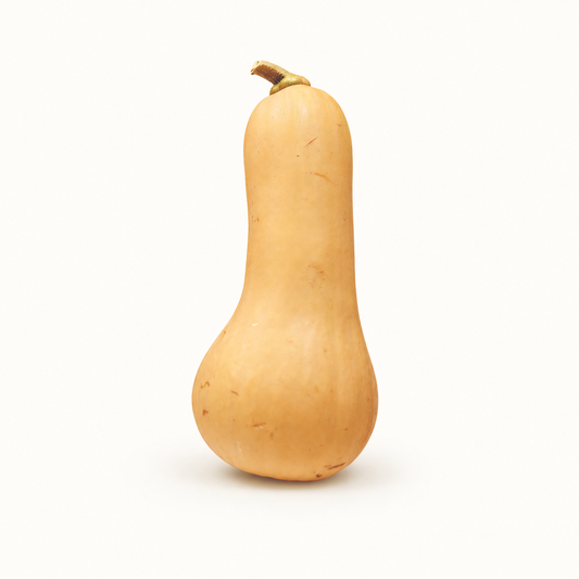 fekete farms / local butternut squash 1lb