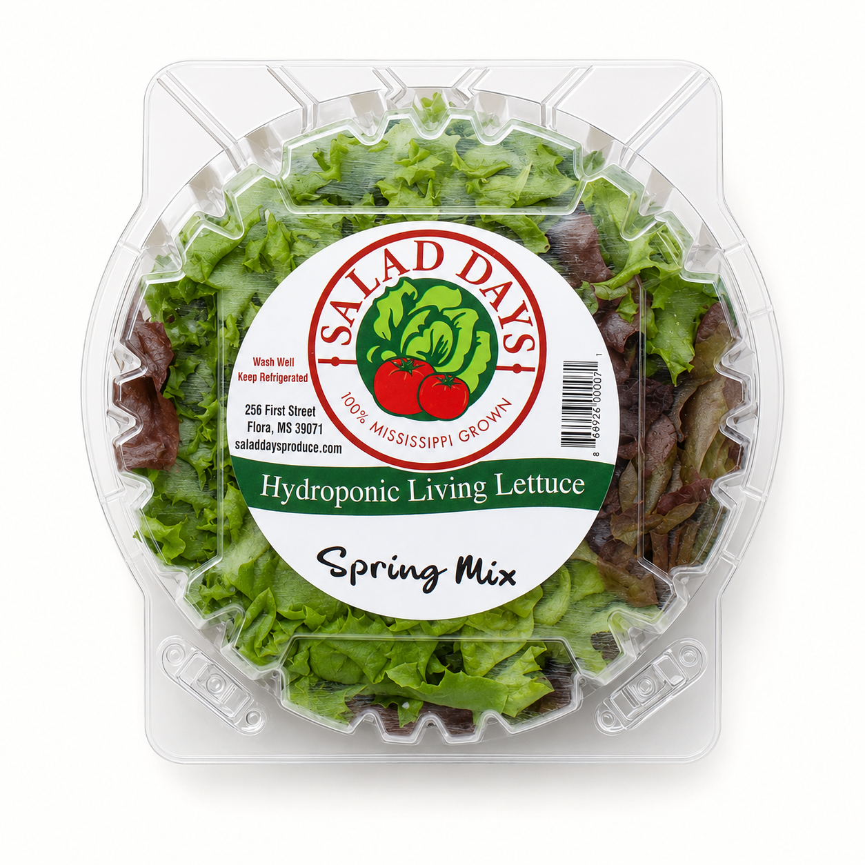 salad days / spring mix lettuce (ms)