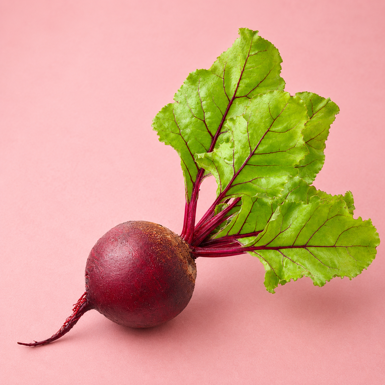 two dog farms / red beets 1lb (ms)