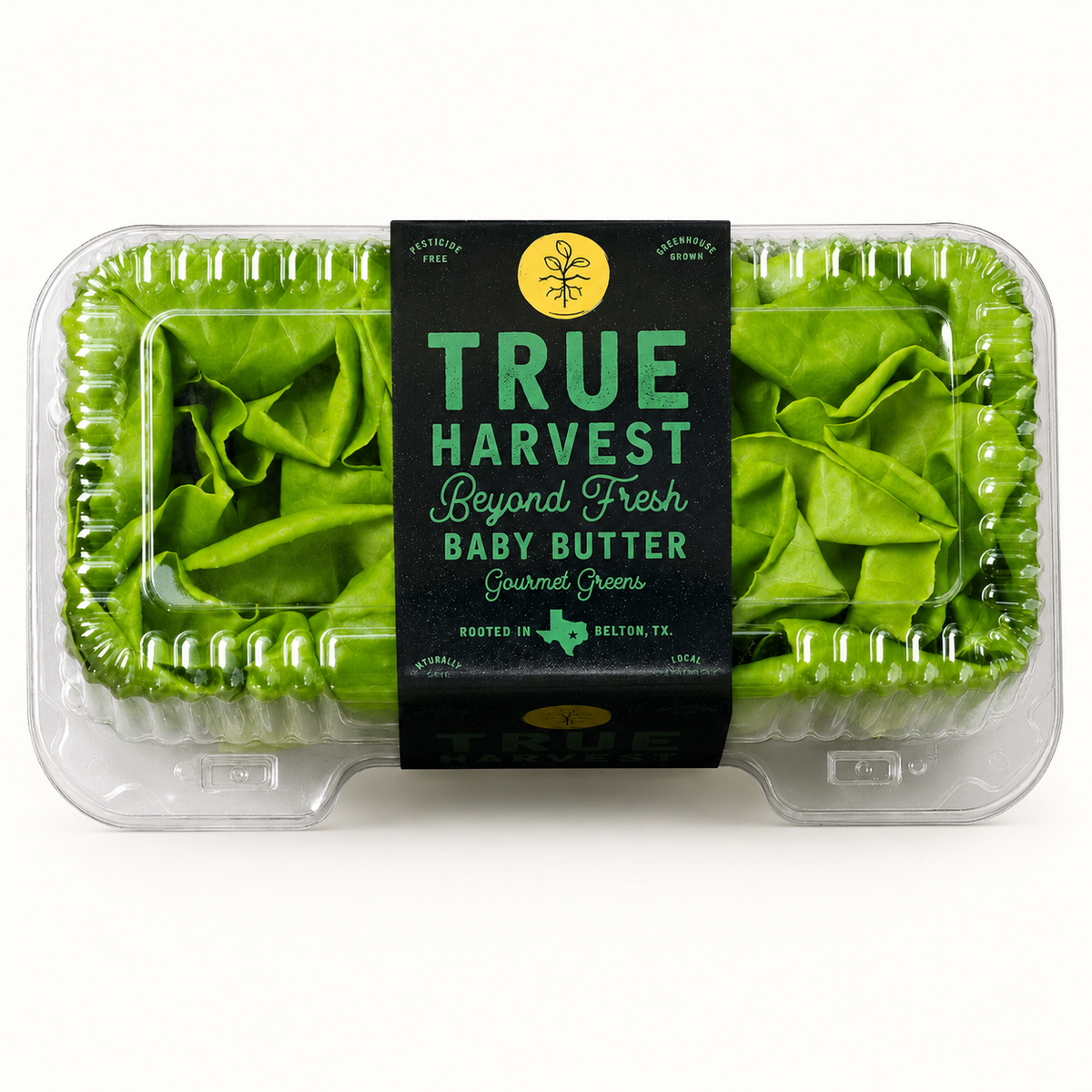 trueharvest / hydroponic baby butter lettuce 4.5oz (tx)