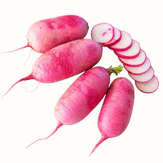 Two Dog Farms / Local Red Daikon Radish 1lb