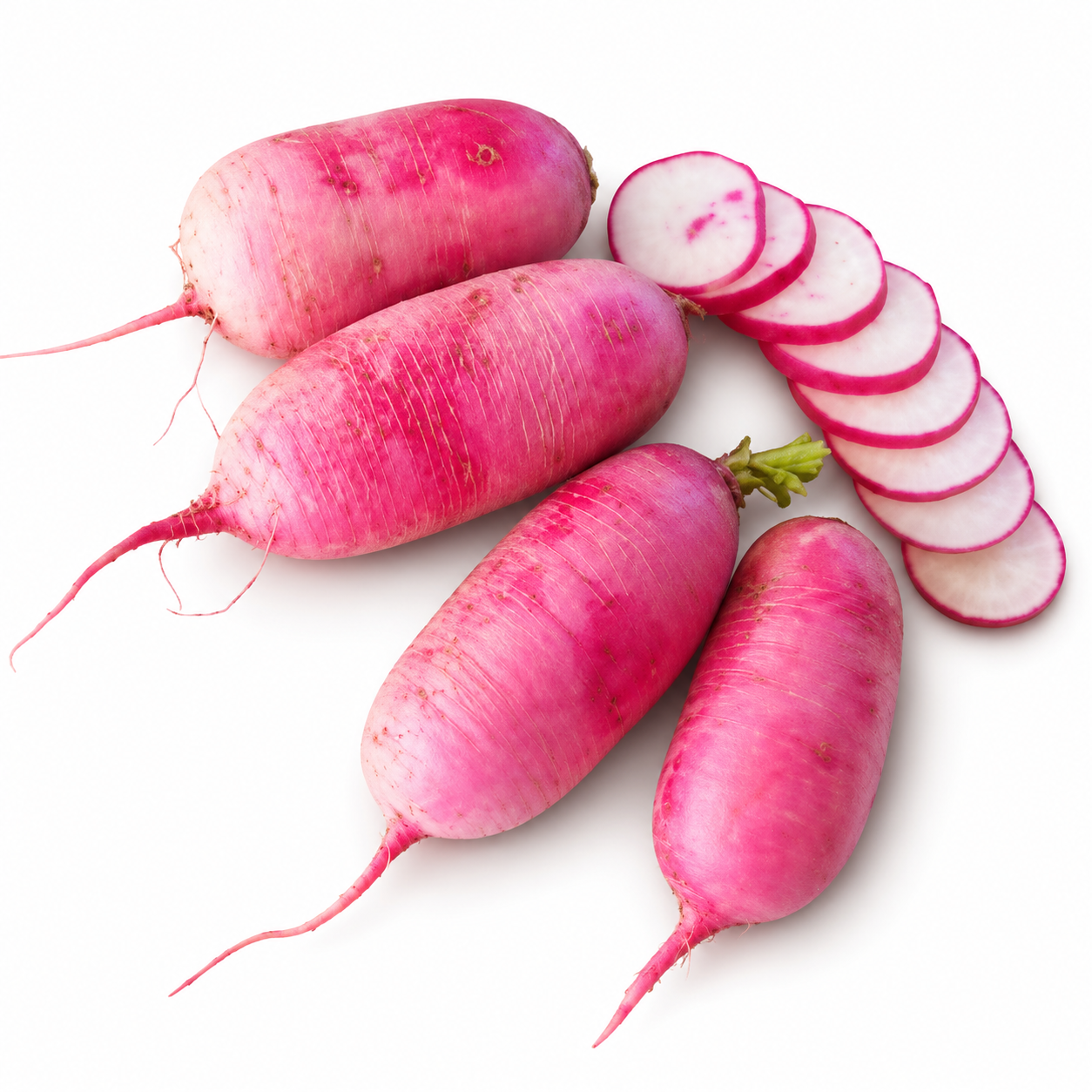 Two Dog Farms / Local Red Daikon Radish 1lb
