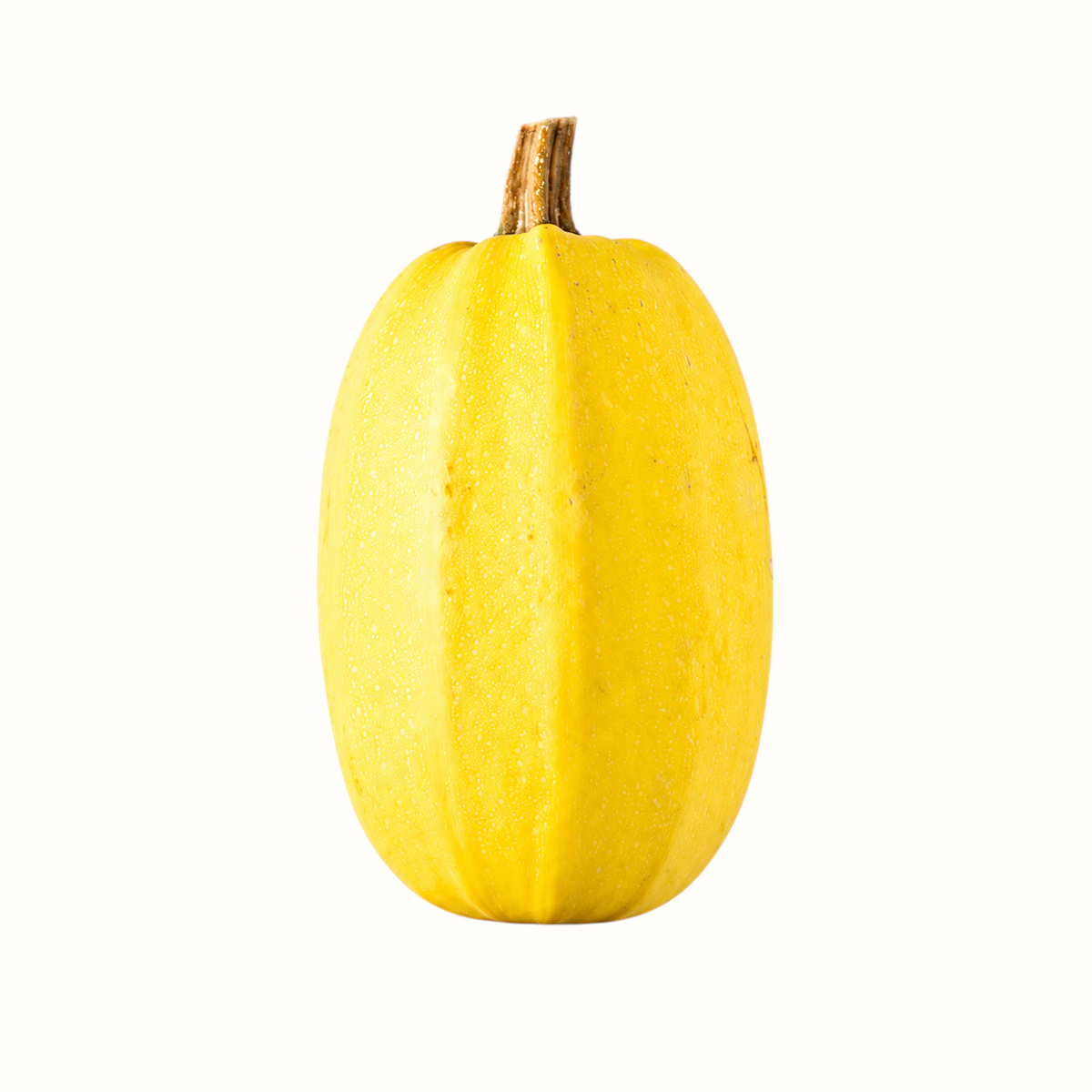 New Soul Liuzza Farms fresh yellow spaghetti squash with a smooth rind isolated on a white background