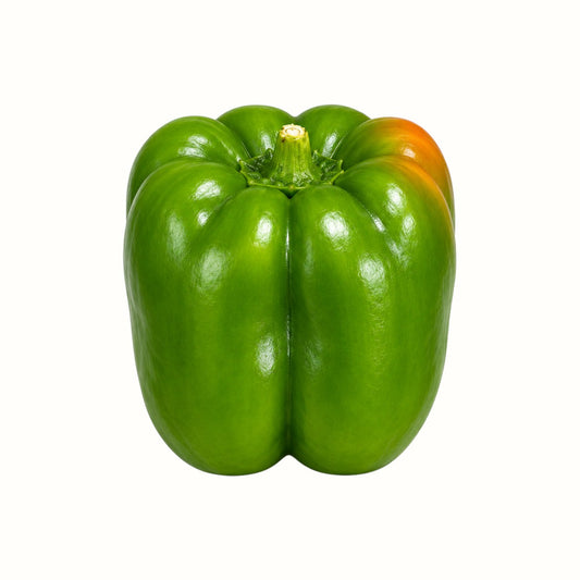 Matt Ranatza / Green Bell Peppers 1lb