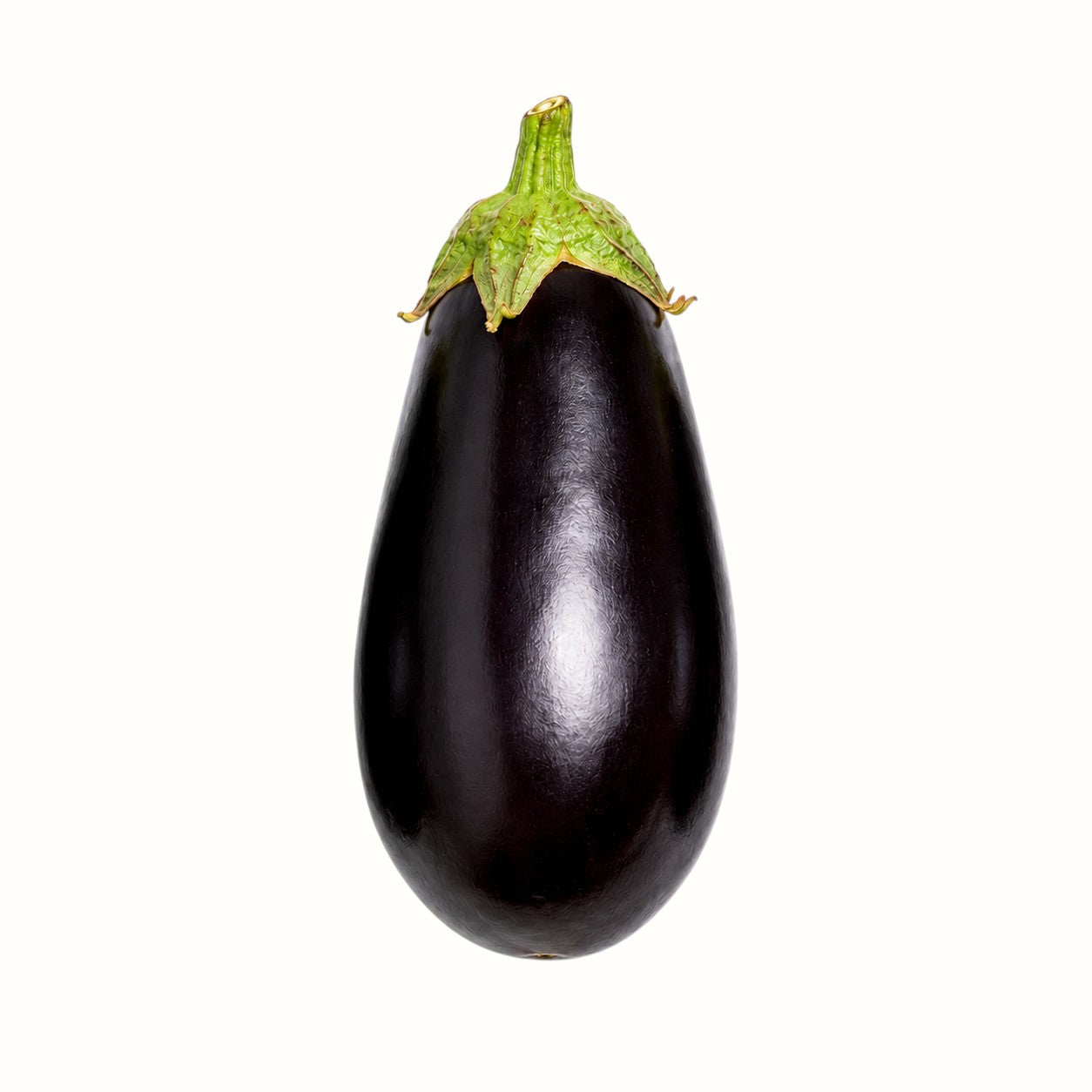 matt ranatza / black beauty eggplant 1lb
