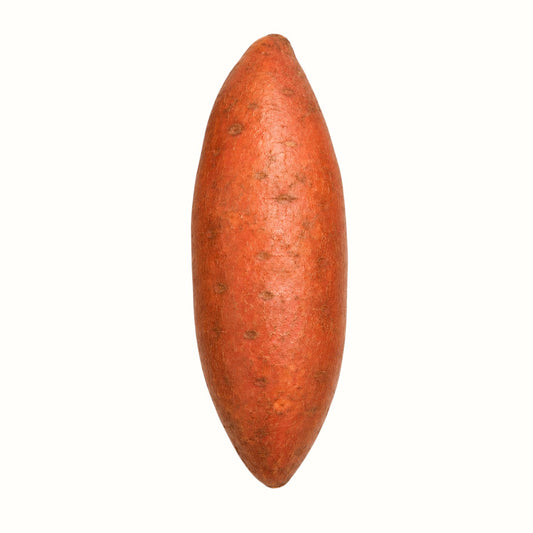 Two Dog Farms / Large Local Sweet Potato 1lb