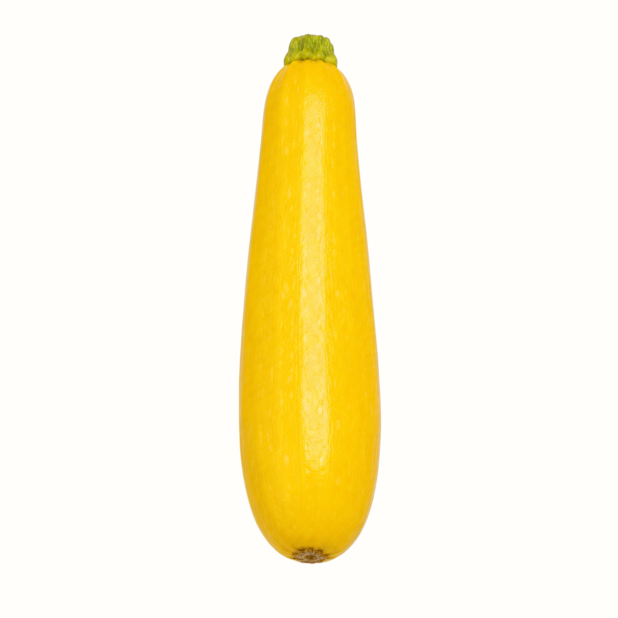 amish produce market / yellow squash 1lb