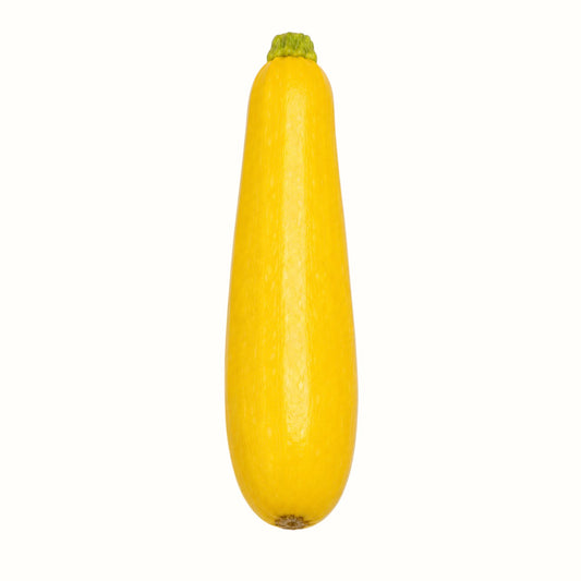 amish produce market / yellow squash 1lb