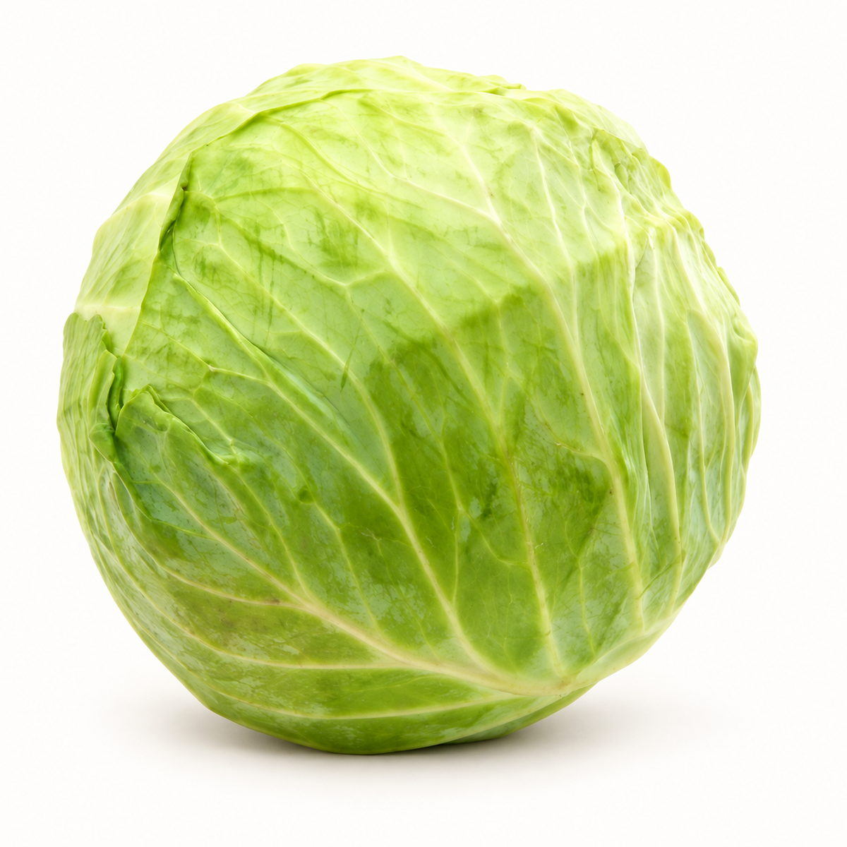 organic green cabbage 1ct
