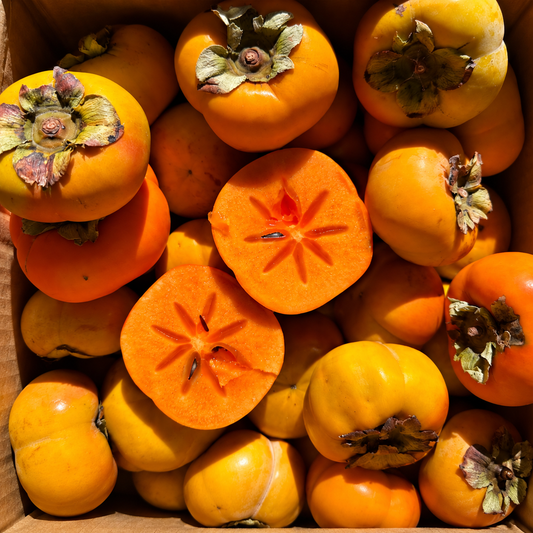paul becnel nursery / fuyu persimmons 1lb