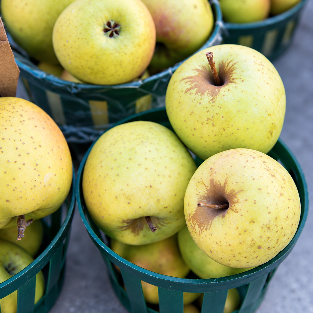 scott's orchard / mutsu apples 1lb