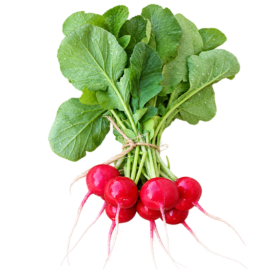 atkinson farms / red rover radish with tops 1lb