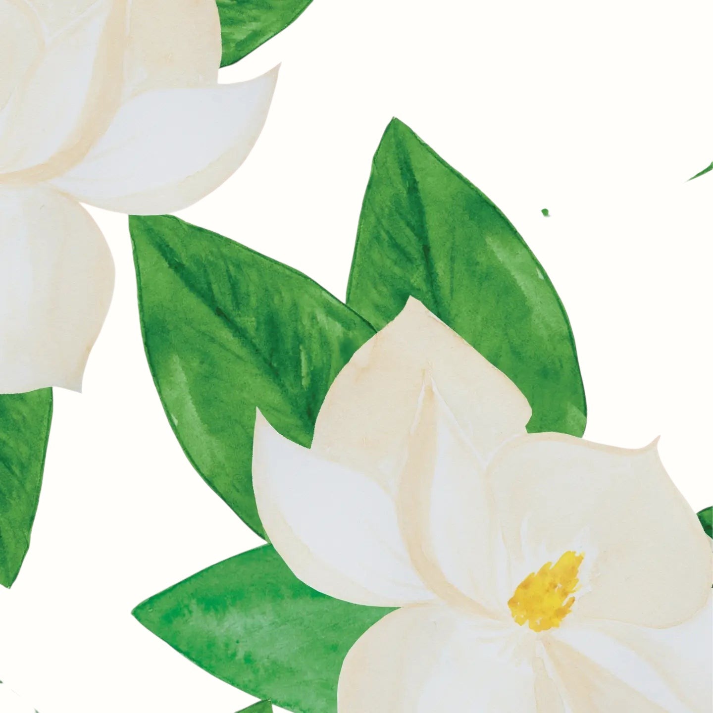 lionheart prints / magnolias on blush wrapping paper