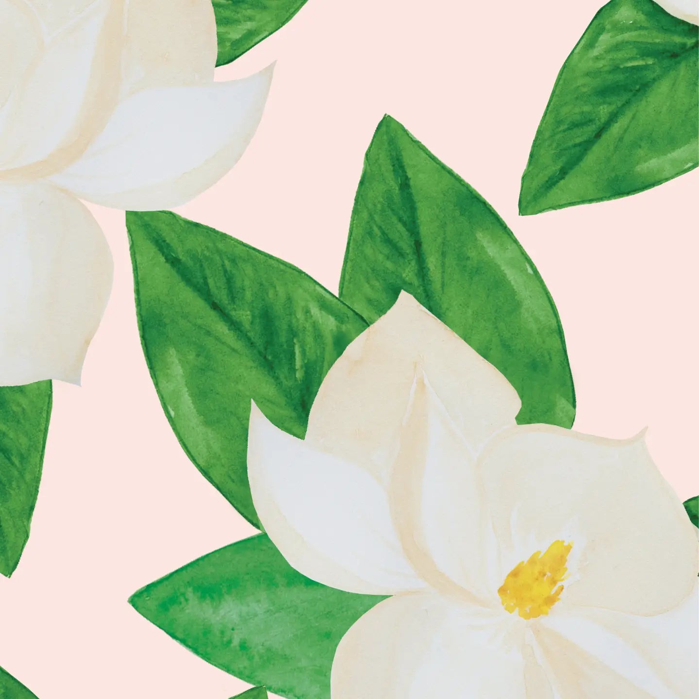 Lionheart Prints / Magnolias On Blush Wrapping Paper