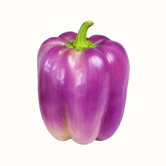 Liuzza Family Farms / Purple Bell Peppers 1lb