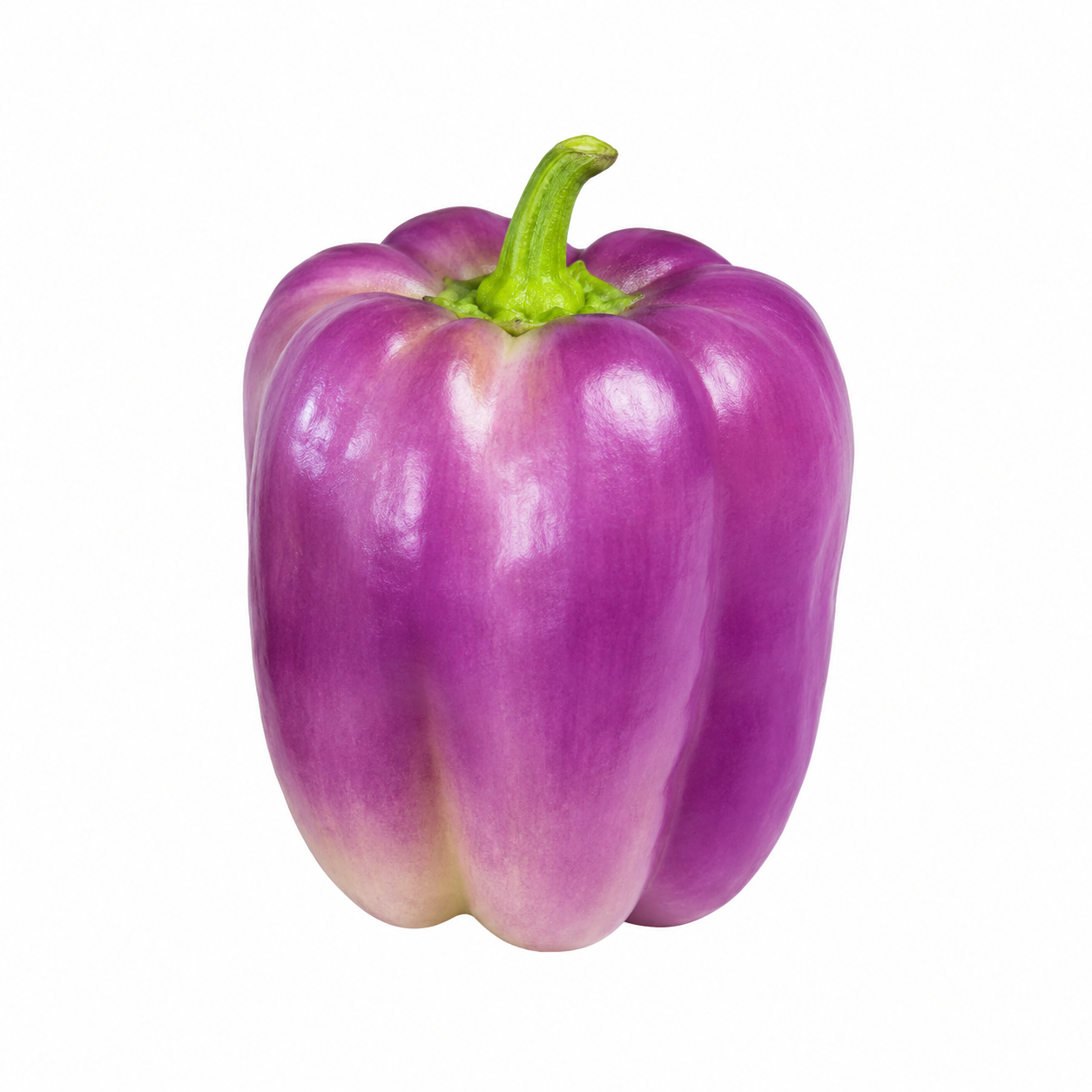 Liuzza Family Farms / Purple Bell Peppers 1lb