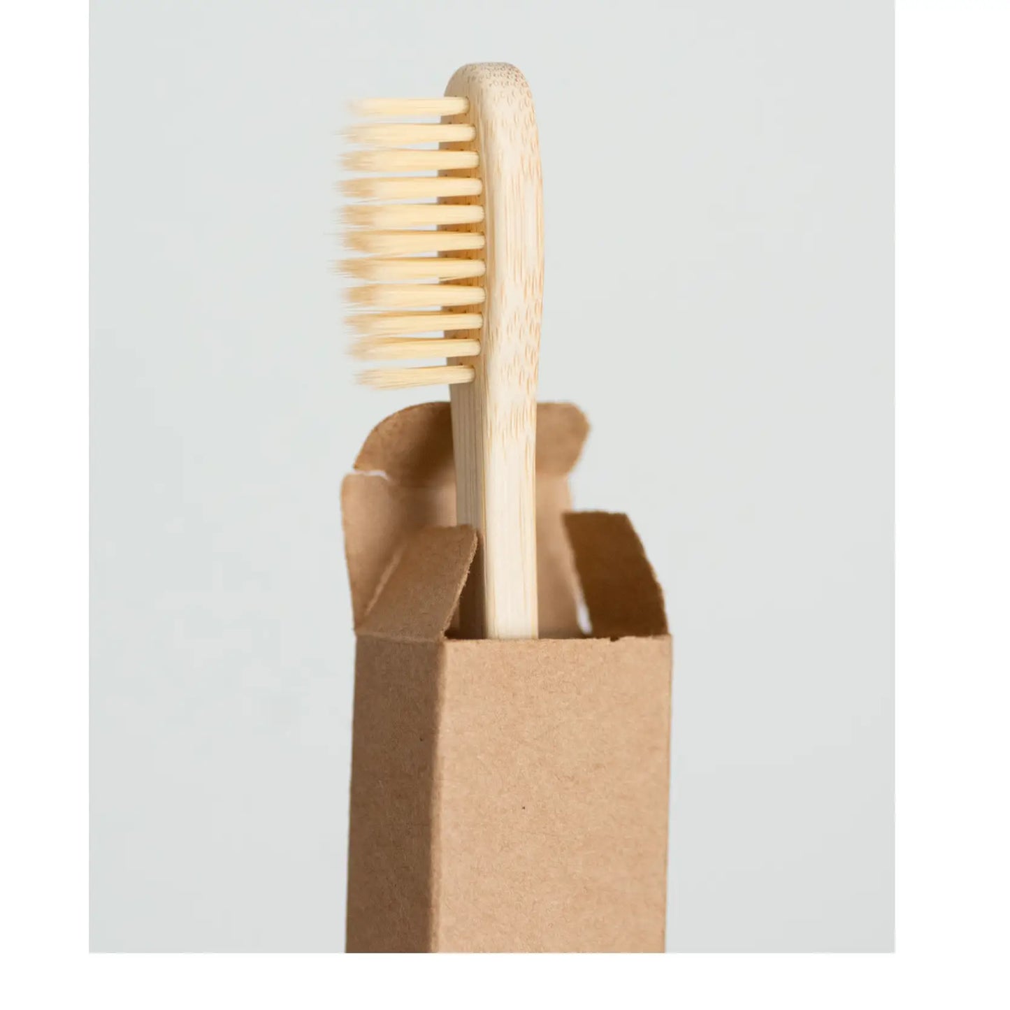 no tox life / moso bamboo toothbrush (tx)