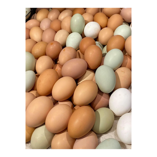 AA Acres / Eggs 1dz