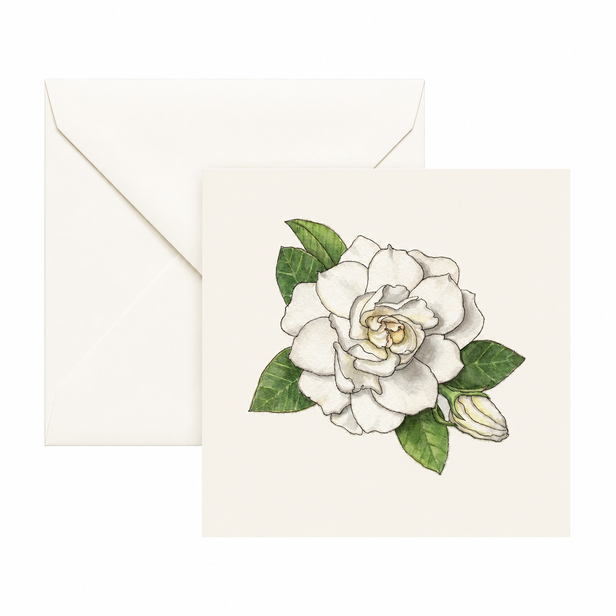 Yeesan Loh / Gardenia Flower Mini Card Set