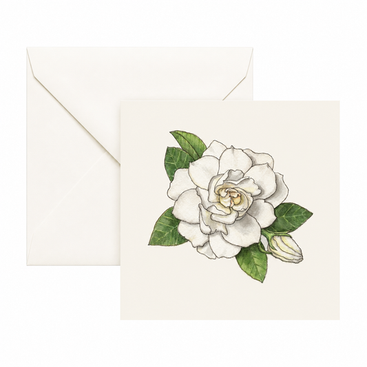 Yeesan Loh / Gardenia Flower Mini Card Set
