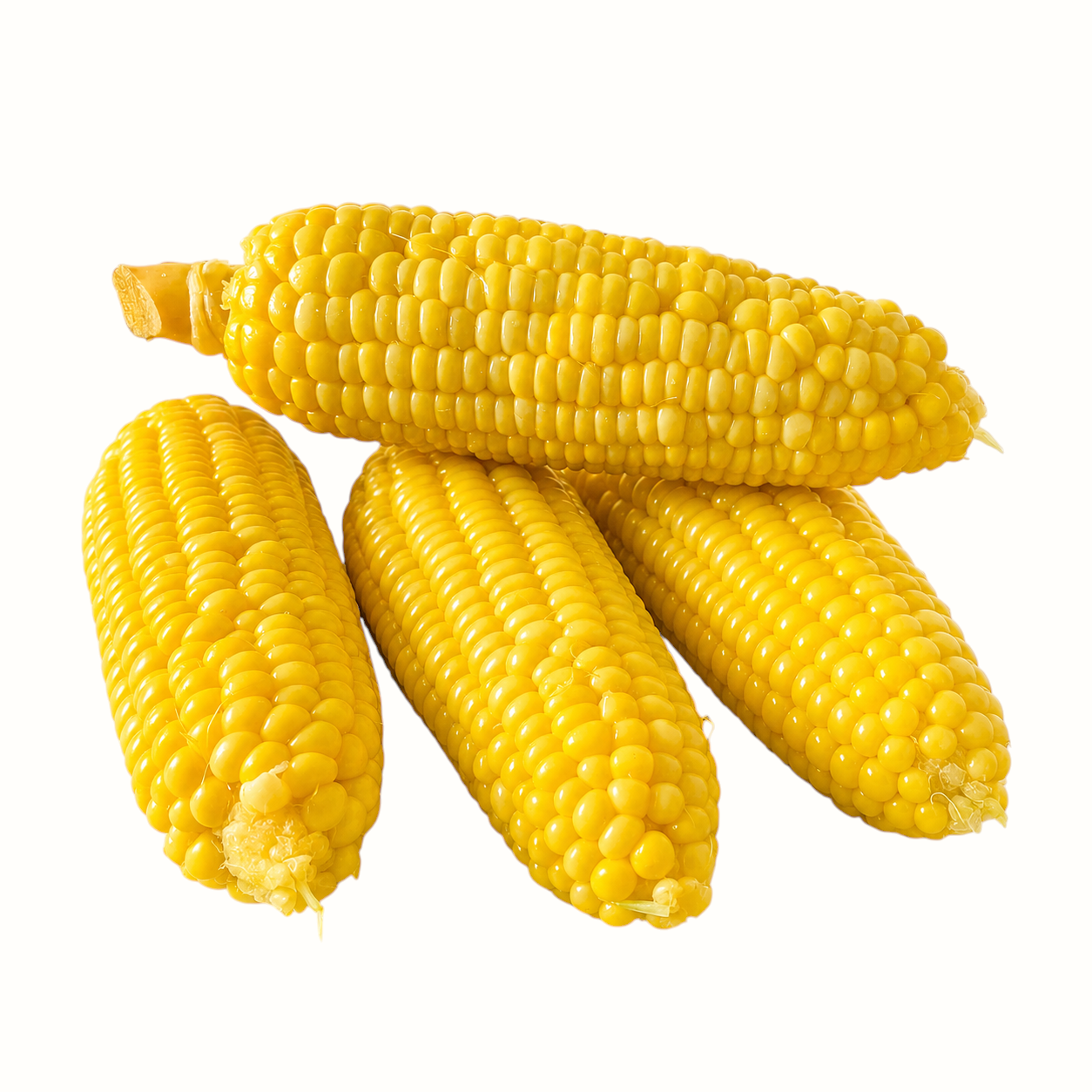 New Soul fresh sweet corn cobs with plump yellow kernels harvested from Amish farms in Tennessee.